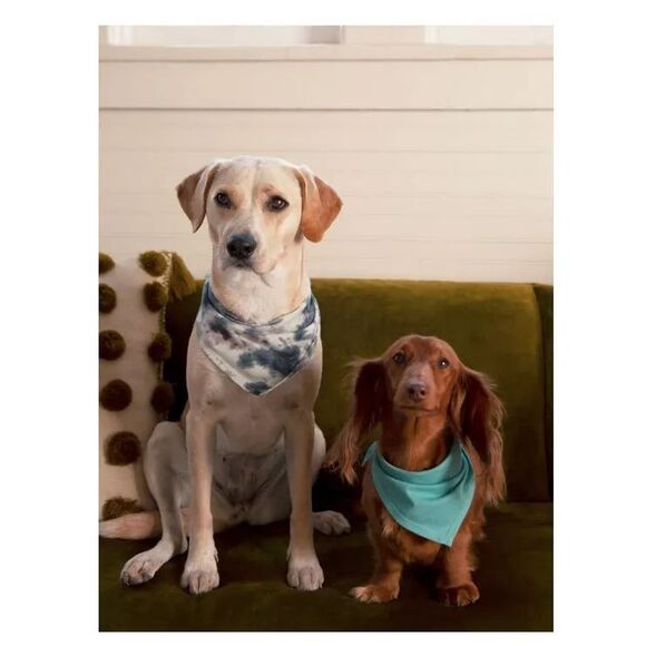 Coco + Rebel Pet Tie-Dye Triangle Bandana for Dogs Size XS/S, 2-pack - Picture 5 of 6